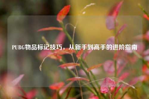 PUBG物品标记技巧，从新手到高手的进阶指南