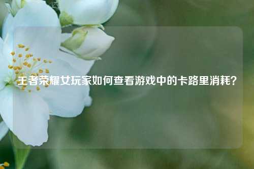 王者荣耀女玩家如何查看游戏中的卡路里消耗？