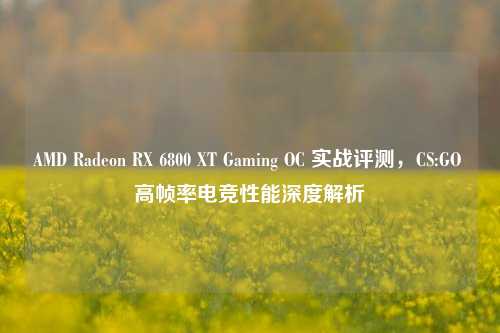 AMD Radeon RX 6800 XT Gaming OC 实战评测，CS:GO 高帧率电竞性能深度解析