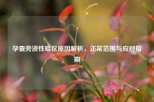 孕囊旁液性暗区原因解析，正常范围与应对指南