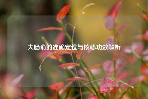 大肠俞的准确定位与核心功效解析
