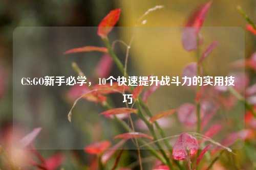 CS:GO新手必学，10个快速提升战斗力的实用技巧