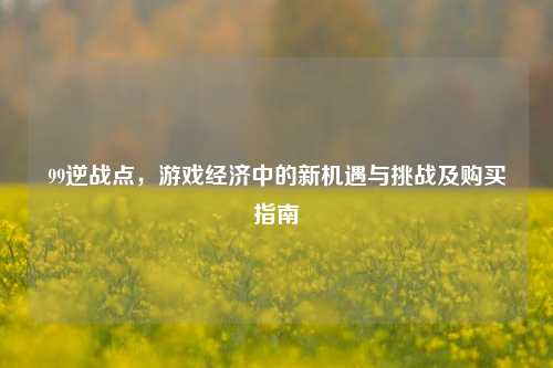 99逆战点，游戏经济中的新机遇与挑战及购买指南