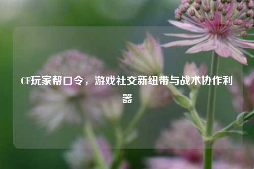 CF玩家帮口令，游戏社交新纽带与战术协作利器