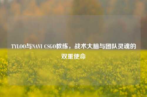 TYLOO与NAVI CSGO教练，战术大脑与团队灵魂的双重使命