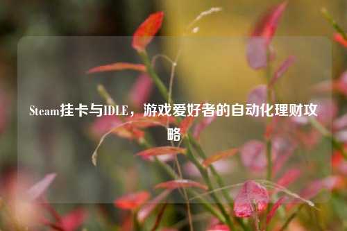 Steam挂卡与IDLE，游戏爱好者的自动化理财攻略