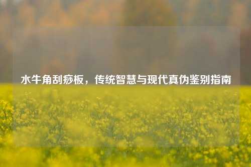 水牛角刮痧板，传统智慧与现代真伪鉴别指南