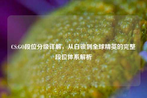 CS:GO段位分级详解，从白银到全球精英的完整段位体系解析