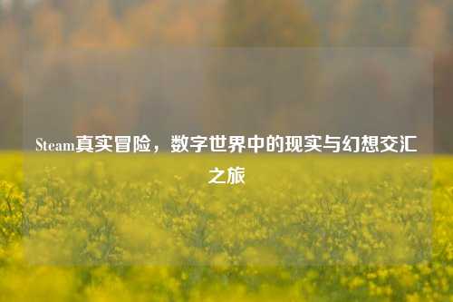 Steam真实冒险，数字世界中的现实与幻想交汇之旅