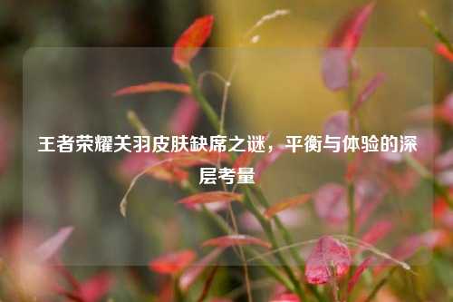 王者荣耀关羽皮肤缺席之谜，平衡与体验的深层考量