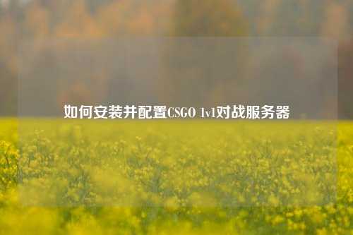 如何安装并配置CSGO 1v1对战服务器