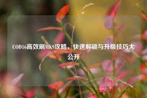 COD16高效刷MK9攻略，快速解锁与升级技巧大公开