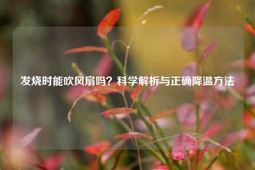 发烧时能吹风扇吗？科学解析与正确降温 *** 