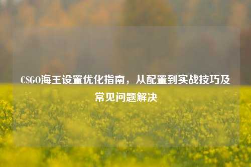CSGO海王设置优化指南，从配置到实战技巧及常见问题解决