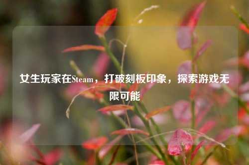 女生玩家在Steam，打破刻板印象，探索游戏无限可能