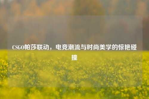 CSGO帕莎联动，电竞潮流与时尚美学的惊艳碰撞
