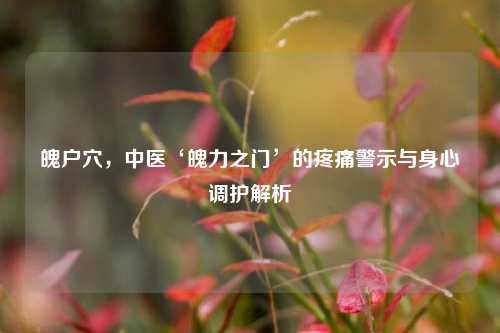 魄户穴，中医‘魄力之门’的疼痛警示与身心调护解析