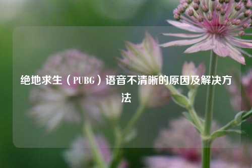 绝地求生（PUBG）语音不清晰的原因及解决 *** 