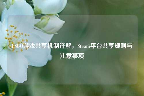 CSGO游戏共享机制详解，Steam平台共享规则与注意事项