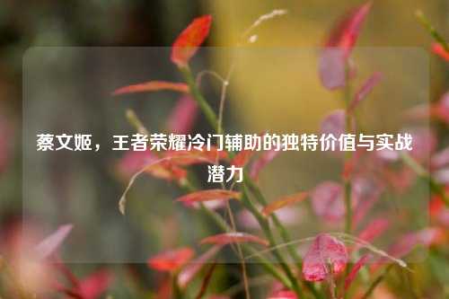 蔡文姬，王者荣耀冷门辅助的独特价值与实战潜力