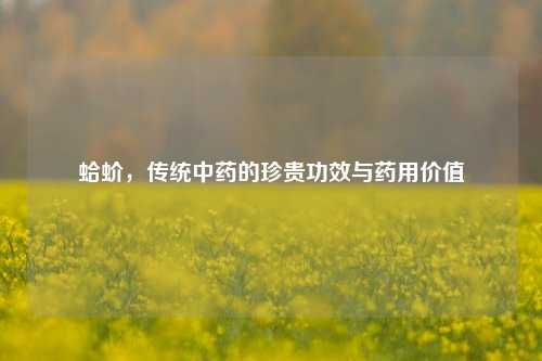 蛤蚧，传统中药的珍贵功效与药用价值