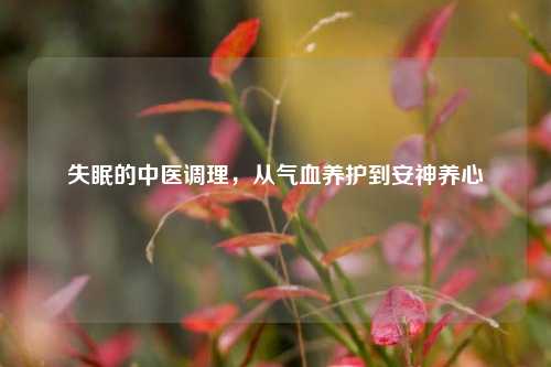 失眠的中医调理，从气血养护到安神养心