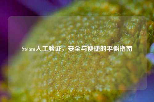 Steam人工验证，安全与便捷的平衡指南