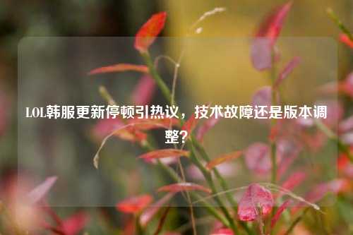 LOL韩服更新停顿引热议，技术故障还是版本调整？