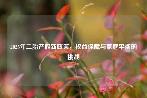 2025年二胎产假新政策，权益保障与家庭平衡的挑战