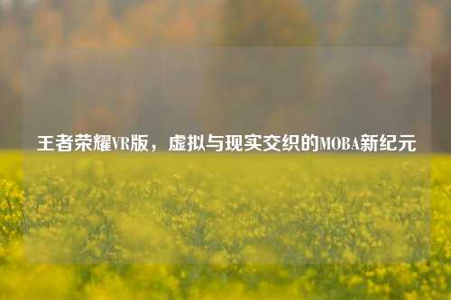 王者荣耀VR版，虚拟与现实交织的MOBA新纪元