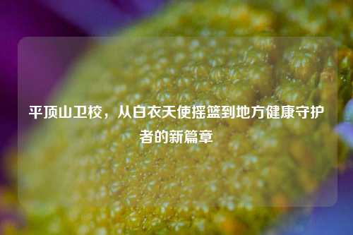 平顶山卫校，从白衣天使摇篮到地方健康守护者的新篇章