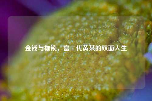 金钱与枷锁，富二代黄某的双面人生