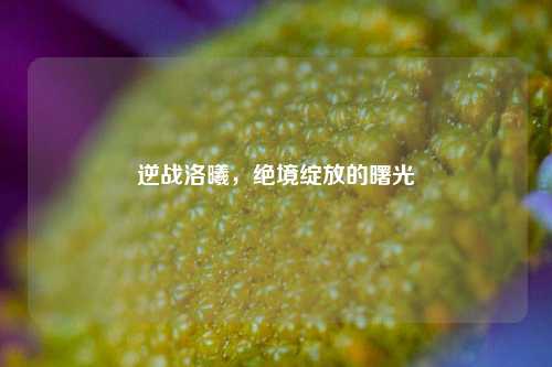逆战洛曦，绝境绽放的曙光
