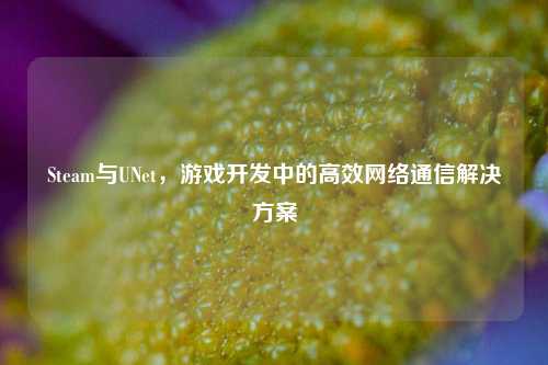 Steam与UNet，游戏开发中的高效 *** 通信解决方案