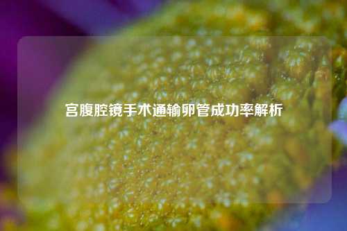 宫腹腔镜手术通输卵管成功率解析