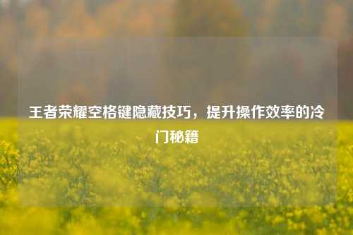 王者荣耀空格键隐藏技巧，提升操作效率的冷门秘籍