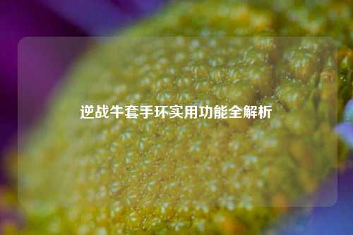 逆战牛套手环实用功能全解析