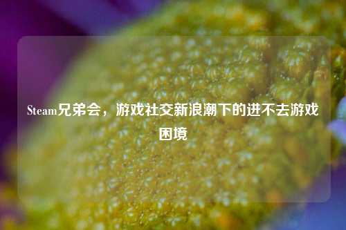 Steam兄弟会，游戏社交新浪潮下的进不去游戏困境