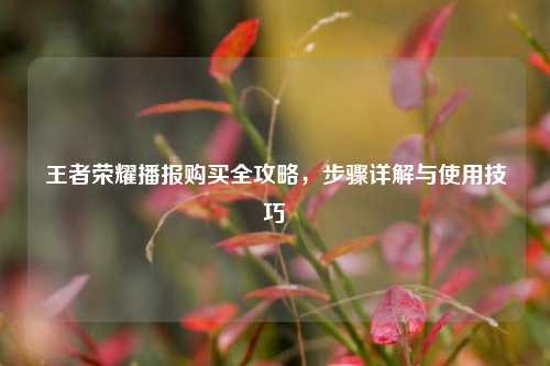 王者荣耀播报购买全攻略，步骤详解与使用技巧