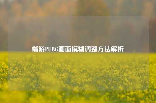 端游PUBG画面模糊调整 *** 解析