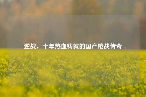 逆战，十年热血铸就的国产枪战传奇