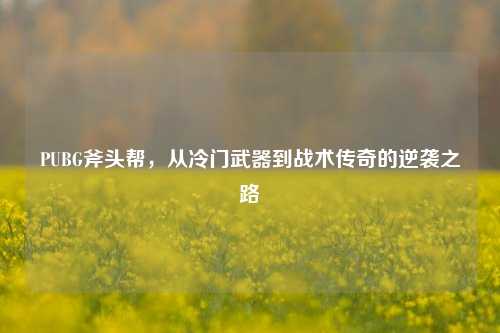 PUBG斧头帮，从冷门武器到战术传奇的逆袭之路