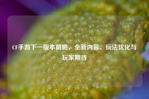 CF手游下一版本前瞻，全新内容、玩法优化与玩家期待
