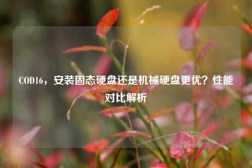 COD16，安装固态硬盘还是机械硬盘更优？性能对比解析