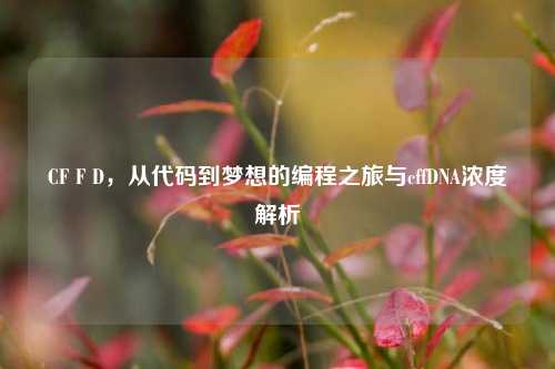 CF F D，从代码到梦想的编程之旅与cffDNA浓度解析