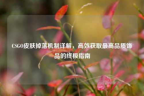 CSGO皮肤掉落机制详解，高效获取更高品质饰品的终极指南