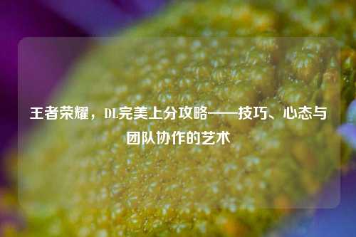王者荣耀，DL完美上分攻略——技巧、心态与团队协作的艺术