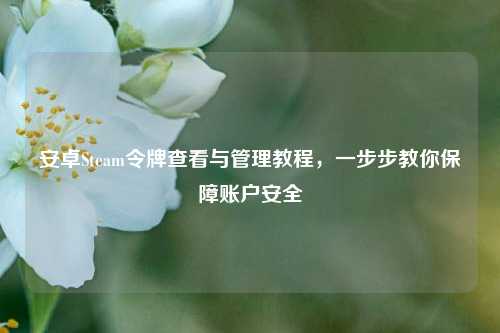 安卓Steam令牌查看与管理教程，一步步教你保障账户安全