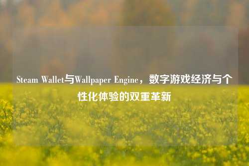 Steam Wallet与Wallpaper Engine，数字游戏经济与个性化体验的双重革新