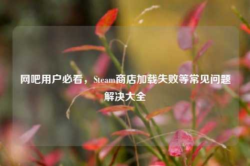 网吧用户必看，Steam商店加载失败等常见问题解决大全